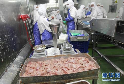 这是福喜食品厂区内的肉制品生产线(2014年7月20日摄).